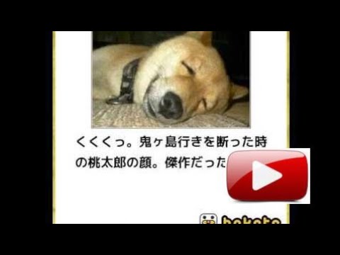 ボケて　【桃太郎】ネタまとめ　PARTⅠ
