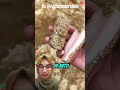 Ke INJEK PERMEN KARET‼️ FactsInspireHub