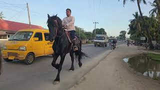 trot warmup at kigamboni