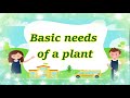The Essential Needs For Healthy Plant Growth