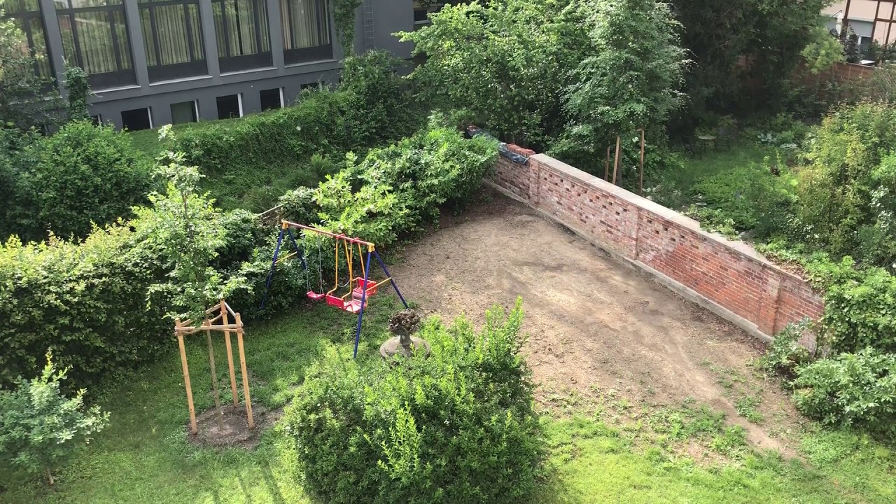 Blick in den Garten auf Rotbuche Hainbuchen Rasen Schaukel ...