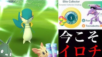 色違いツタージャ Youtube 色違いツタージャ Youtube