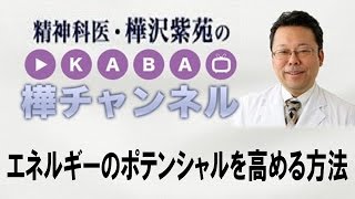 エネルギーのポテンシャルを高める方法【精神科医・樺沢紫苑】