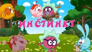 Смехуярики | Инстинкт | RYTP