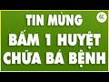 Kì Lạ Chỉ 1 Huyệt Mà Chữa Bá Bệnh TIỂU ĐƯỜNG - ĐAU LƯNG - VIÊM ĐẠI TRÀNG - PHÙ THỦNG | TCL