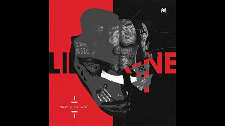 Lil Wayne - Sorry 4 The Wait - Tunechi's Room