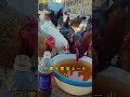 #科普 #饲养员日常 #搞笑 #科普 #饲养员日常 #搞笑 #百科密码 #animals #https
