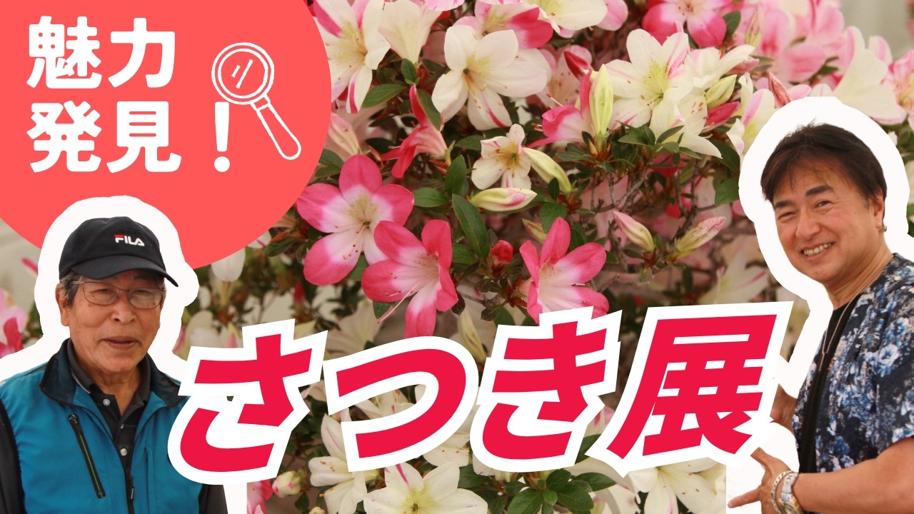 花と地球 Extremely Rare] The Profound World of Satsuki Exhibition! Discover