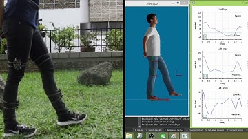 Silvereye: IMU motion capture for gait analysis