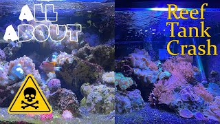 Don't Make The Same Mistake I Did With My Saltwater Tank