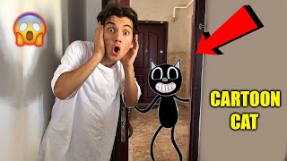 Cartoon Cat Evi̇me Geldi̇ (Gerçek)