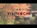 Enjoy Foliage in Kochi's Autumn - VISIT KOCHI JAPAN