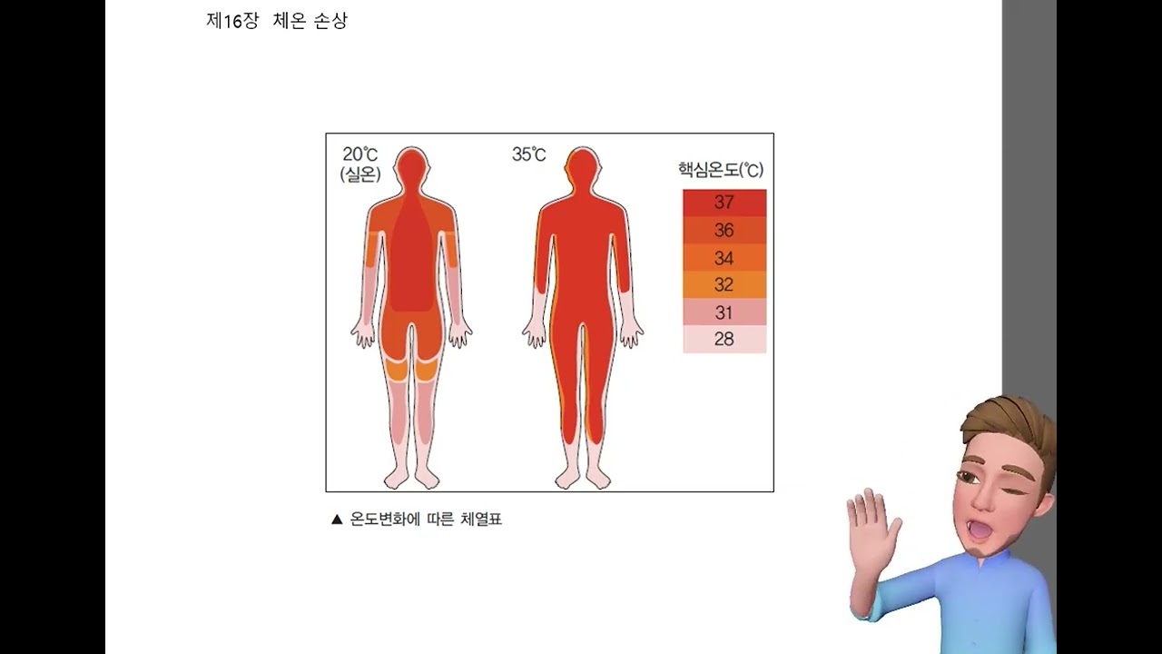 인명구조론 13주