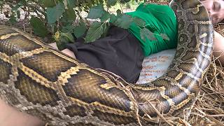 HUGE Python Coils Around Girl in Forest 🐍 Scary Snake Discovery