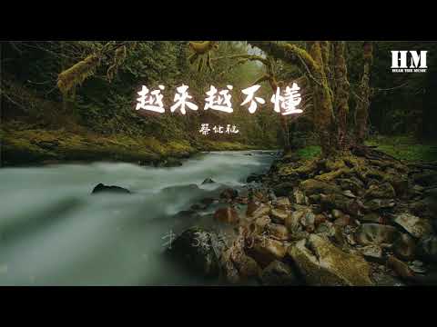 蔡健雅~越來越不懂（精选）高清车载mv下载（最佳版本）HD 1080