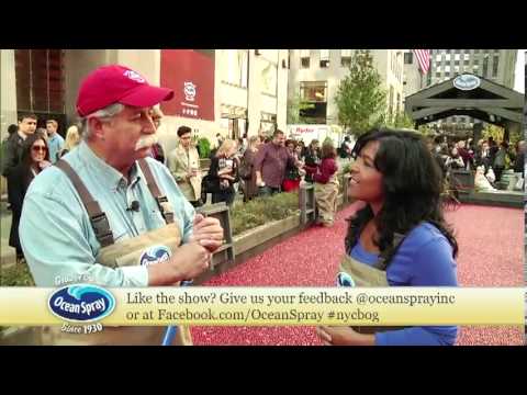 Explore the Cranberry Harvest with Grower Gary Garretson