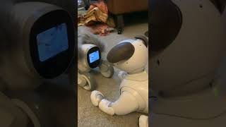 Keyi Technology Your Loona Petbot Robotic Pet Loona Shows Scout