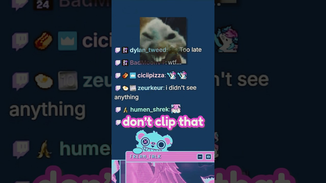 I Accidentally Did WHAT To My Stream?! #flash #vtuber #accident