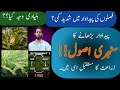 Benefits of Crop Rotation | How to enhance crops production by Rotation | Sustainable Agriculture