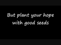 Thistle & Weeds - Mumford and Sons (lyrics)