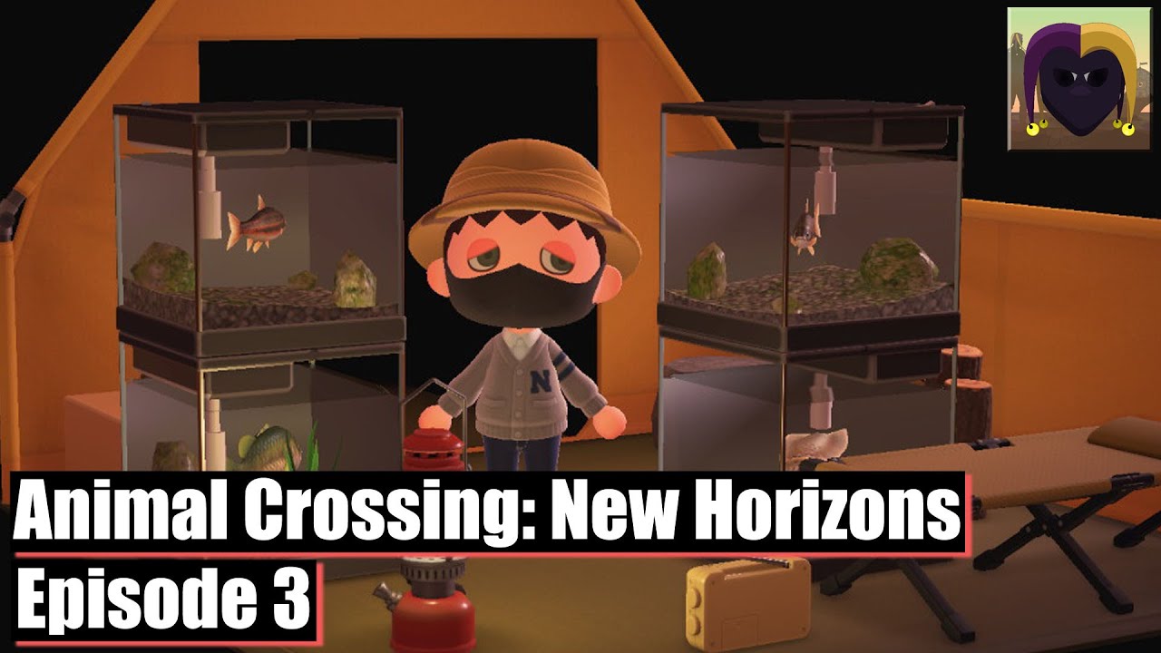 What a Load of Carp. Animal Crossing New Horizons [Episode 3] YouTube