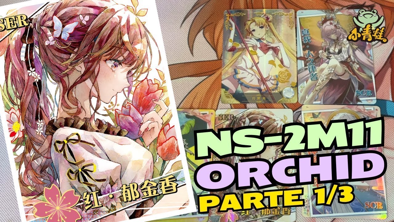 NS 2M11 la Nueva Caja de 2 Yuans | Goddess Story Collection Cards