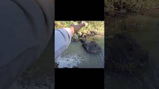 memancing memancing kehidupanmemancing