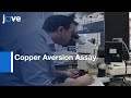 C. elegans Nutritional-status by Copper Aversion Assay | Protocol Preview