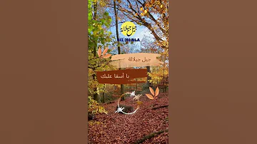 Jil Jilala Officiel جيل جيلالة يا أسفا عليك Jil Jilala Shorts جيل جيلالة Music 