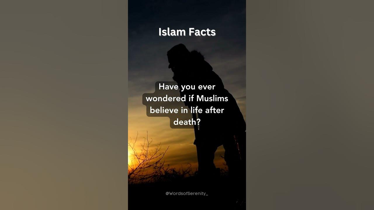 exploring-the-concept-of-life-after-death-in-islam-islam-facts-youtube