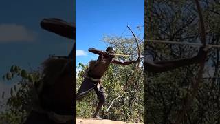 The Hadzabe Hunter Shot An Arrow في القرد يجلس على الفرع.
