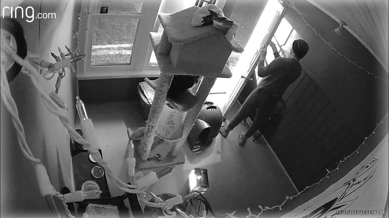 Bat Flies at Ring Security Camera YouTube