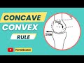 Concave-Convex Rule in Biomechanics 🦵