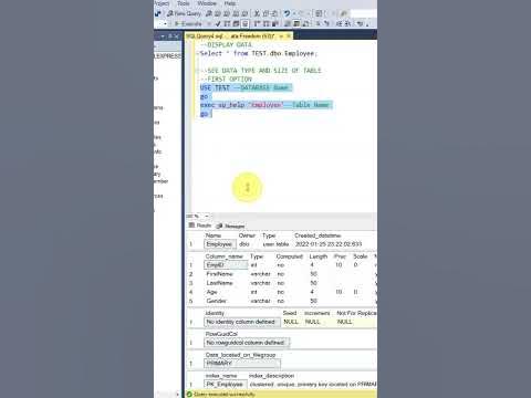SQL SERVER: Find the Data Type and Size of a Column in a Table using SP ...
