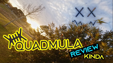 SIREN F5 SPLIT Review... Kinda...