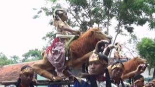 Putra surti muda - Atraksi si-singa-an