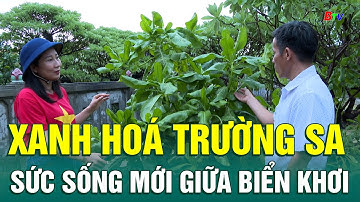 Biển đảo quê hương | số 02: Xanh hoá Trường Sa – Sức sống mới giữa biển khơi