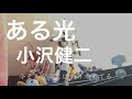 ある光 / 小沢健二(弾き語りcover)