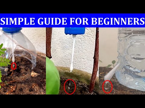 Βίντεο: Watering Gardens: Μάθετε πώς να ποτίζετε έναν κήπο αποτελεσματικά