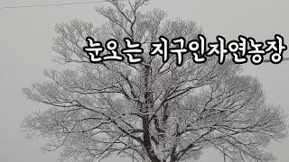눈오는 날 지구인자연농장