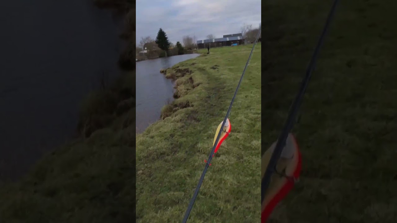 🎣 Überraschung 😲 am Polder! Beifang beim 