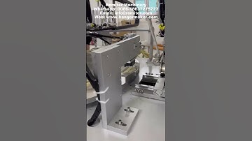 Automatic Clothes Hanger Metal Hook Inserting and Logo Pad Printing Machine for Europe Market