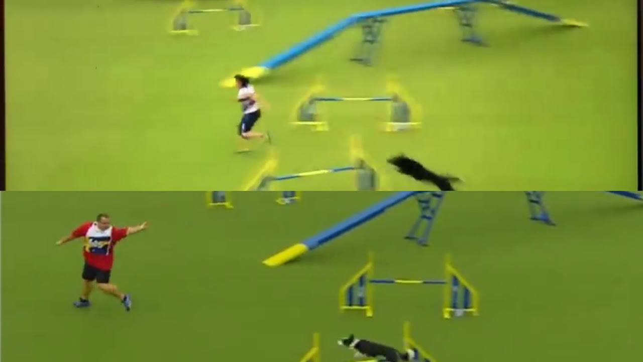 dreambot vs runemate agility dreambot vs runemate agility