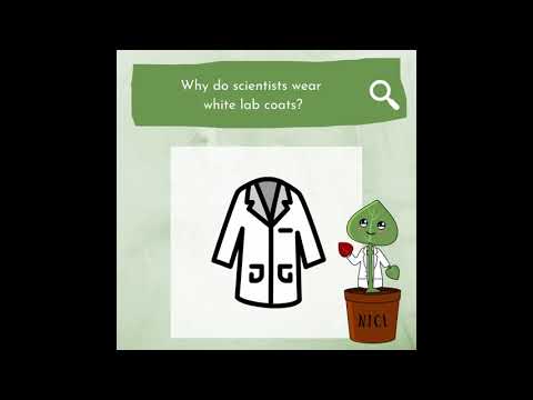 Ask Nici: Why