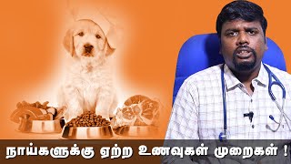 What Foods To Give Dogs Regularly Tamil | நாய்களுக்கான உணவு முறைகள்?