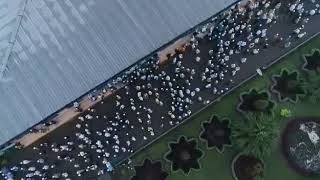 Sinergi Dalam Harmoni