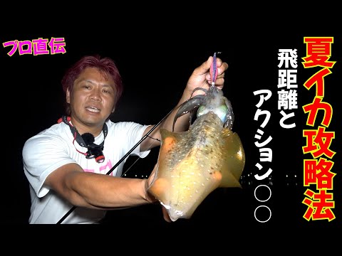 夏エギング攻略法！しゃくり方、アクションは沖でもサイトの誘い方を入れる必要性がある