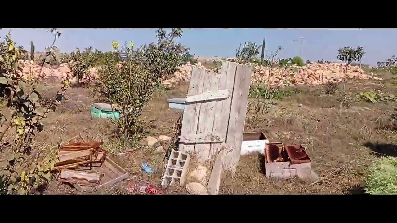 3700 متر محفضة  اغراس بئر  نواحي بن معاشو بئرجديد الجديدة ثمن 18 مليون 0613792120 طاقة شمسية 2 بيوت 