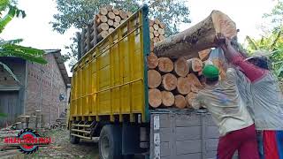 LOADING LOGS ON THE TRUCK