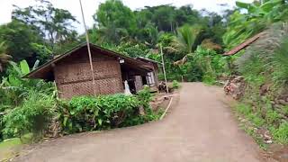 Download Lagu D'LLYOD FULL ALBUM  MP3